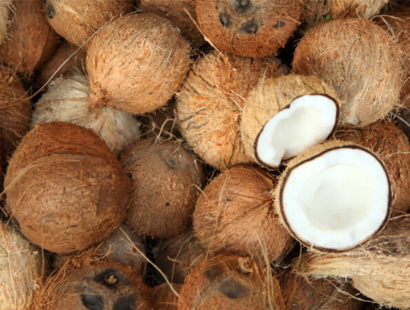 Semi Husked fresh coconut